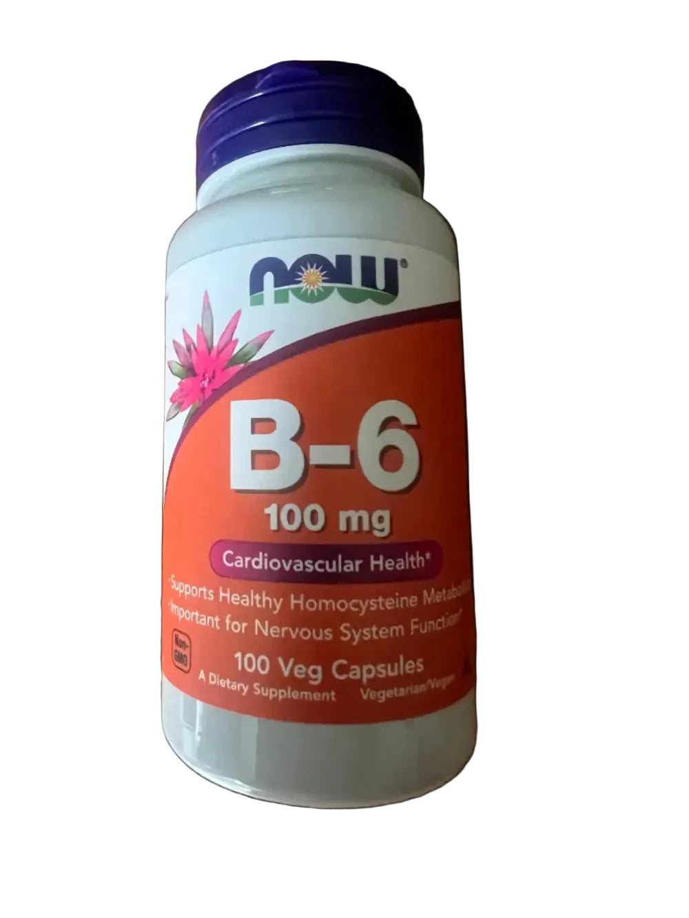 B-6 100mg